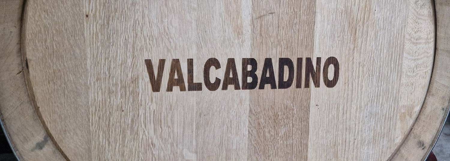 Bodegas Valcabadino en Zamora