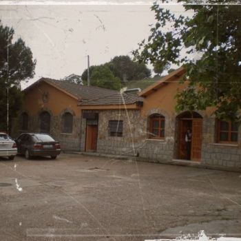 P5310075 2