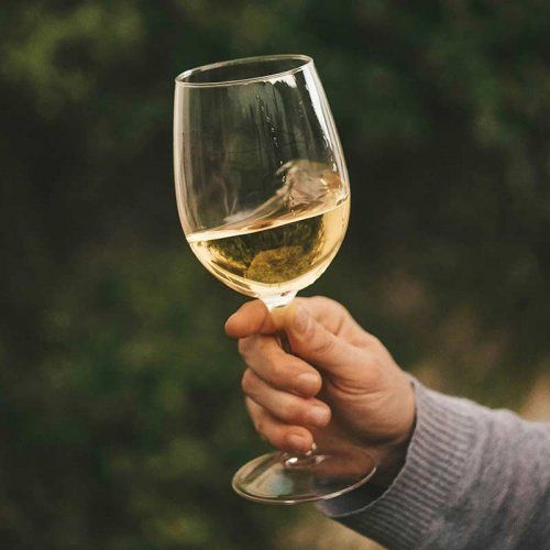 Vinos blancos