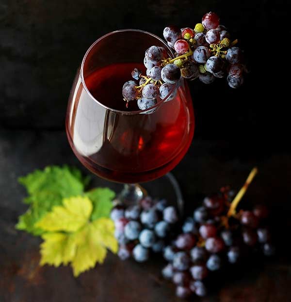 Nuestros vinos
